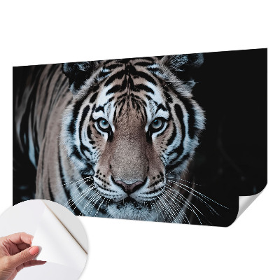 Samolepicí dekorativní fototapeta Portrét tygra