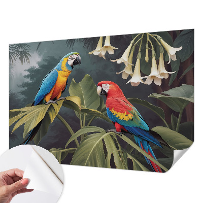 Fototapeta do dětského pokoje Barevní papoušci