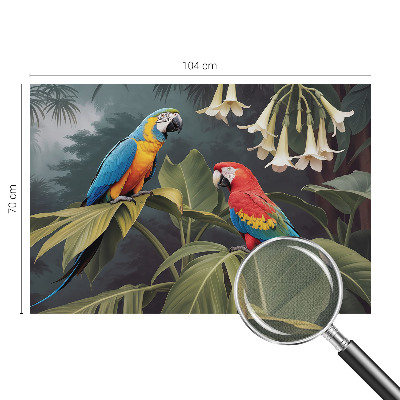 Fototapeta do dětského pokoje Barevní papoušci