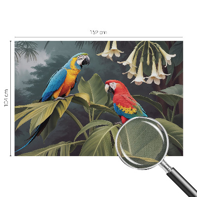 Fototapeta do dětského pokoje Barevní papoušci