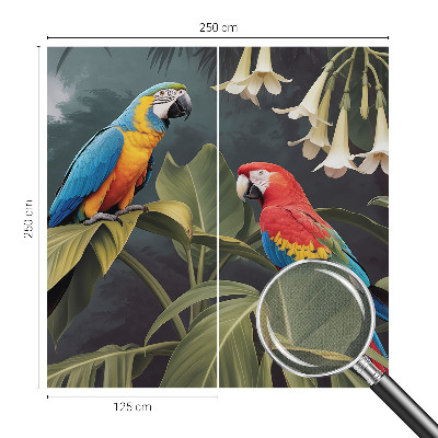 Fototapeta do dětského pokoje Barevní papoušci