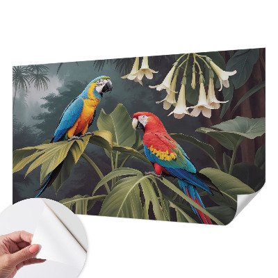 Fototapeta do dětského pokoje Barevní papoušci