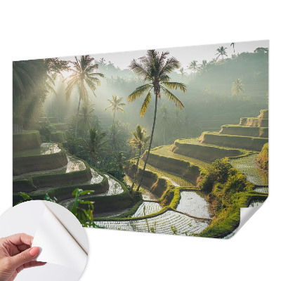 Samolepicí fototapeta Rajské terasy