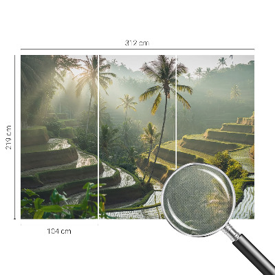 Samolepicí fototapeta Rajské terasy