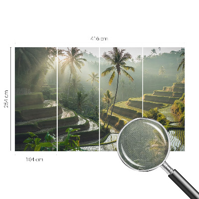 Samolepicí fototapeta Rajské terasy