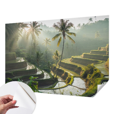 Samolepicí fototapeta Rajské terasy