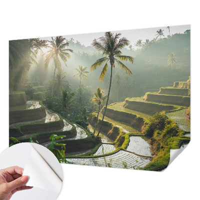 Samolepicí fototapeta Rajské terasy