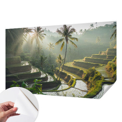 Samolepicí fototapeta Rajské terasy