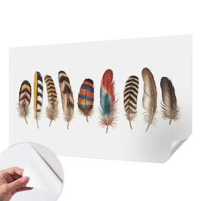 Fotografická tapeta samolepicí Barevné peří