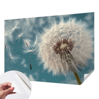 Fototapeta pro holku Lehká éterickost