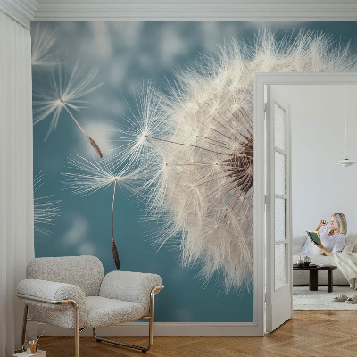Fototapeta pro holku Lehká éterickost