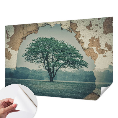 Fototapeta pro kluka Osamělý strom