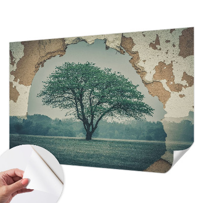 Fototapeta pro kluka Osamělý strom