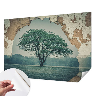 Fototapeta pro kluka Osamělý strom