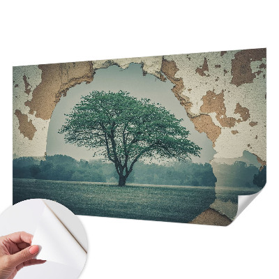 Fototapeta pro kluka Osamělý strom