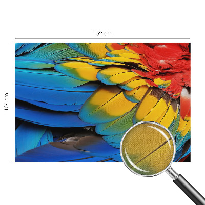 Fotografická tapeta na zeď Duhové peří