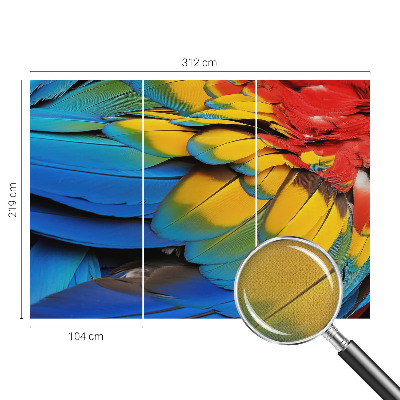 Fotografická tapeta na zeď Duhové peří