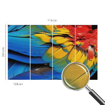 Fotografická tapeta na zeď Duhové peří