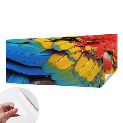Fotografická tapeta na zeď Duhové peří