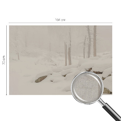 Samolepící tapeta Zasněžený les