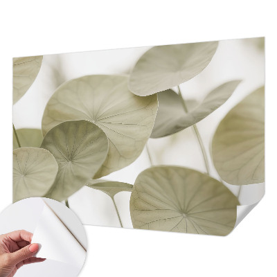Samolepicí fototapeta na zeď Přirozená elegance