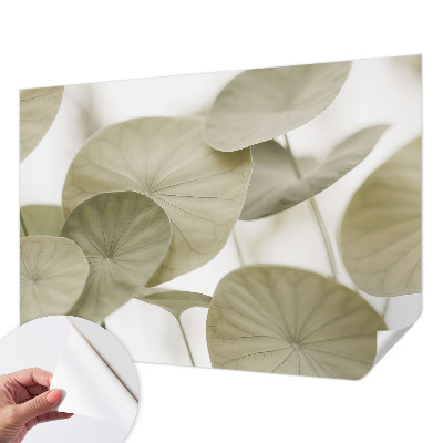 Samolepicí fototapeta na zeď Přirozená elegance
