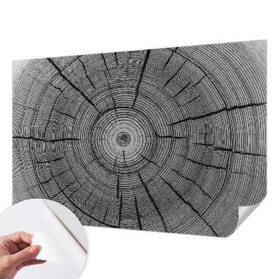 Samolepicí fototapeta Lesní harmonie