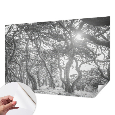 Samolepící fototapeta 3d Atmosférický les