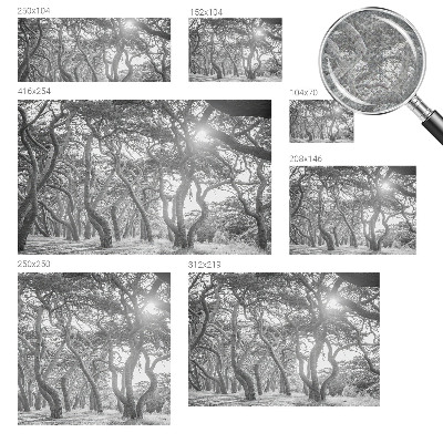 Samolepící fototapeta 3d Atmosférický les