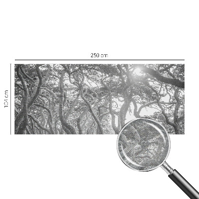 Samolepící fototapeta 3d Atmosférický les