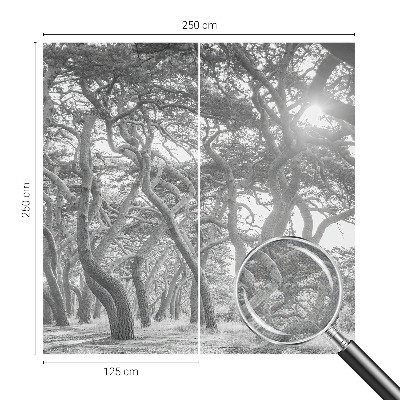 Samolepící fototapeta 3d Atmosférický les