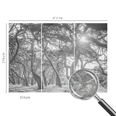 Samolepící fototapeta 3d Atmosférický les