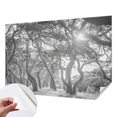 Samolepící fototapeta 3d Atmosférický les