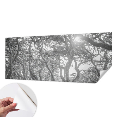 Samolepící fototapeta 3d Atmosférický les