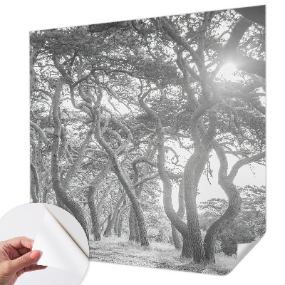 Samolepící fototapeta 3d Atmosférický les