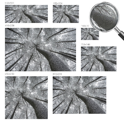 Samolepicí fototapeta do obýváků Zimní krajina