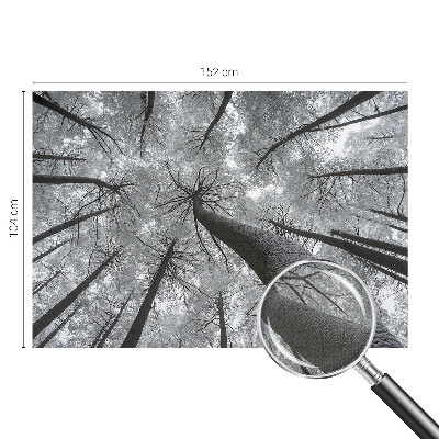 Samolepicí fototapeta do obýváků Zimní krajina