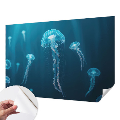 Fotografická tapeta samolepicí Námořní elegance