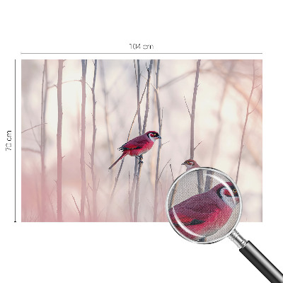 Samolepící tapeta Ptačí pár