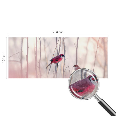 Samolepící tapeta Ptačí pár