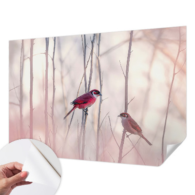 Samolepící tapeta Ptačí pár