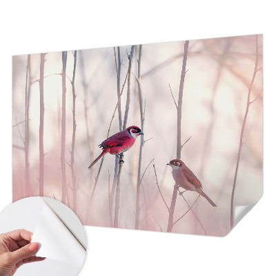 Samolepící tapeta Ptačí pár