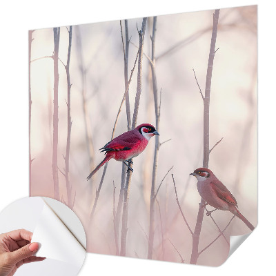 Samolepící tapeta Ptačí pár