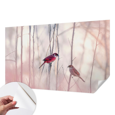 Samolepící tapeta Ptačí pár