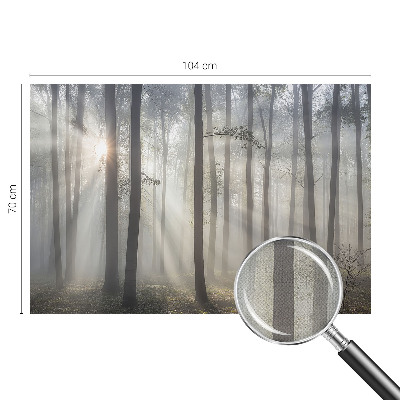 Fototapeta pro holku Éterický les