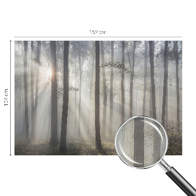 Fototapeta pro holku Éterický les