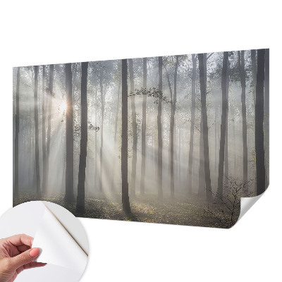 Fototapeta pro holku Éterický les