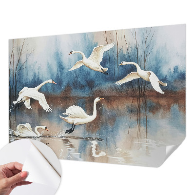 Samolepicí fototapeta na míru Ptáci za letu