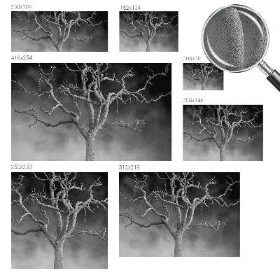 Fototapeta do dětského pokoje Mlžný strom