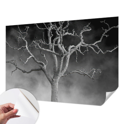 Fototapeta do dětského pokoje Mlžný strom
